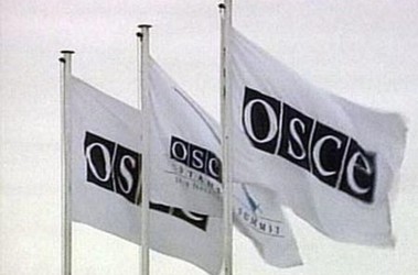 Украина неожиданно дождалась одобрения от ОБСЕ