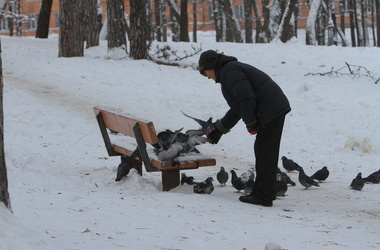 Мороз и снег накроют Украину: прогноз Укргидрометцентра