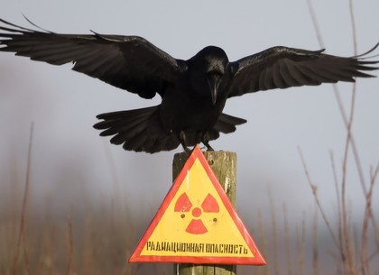 Ахметов застраховал Чернобыль на случай взрыва (СМИ)