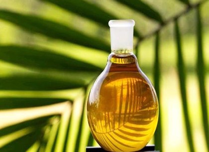 В Украине могут запретить пальмовое масло: законопроект