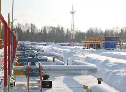 Украина ищет альтернативу российскому газу (В. Янукович)