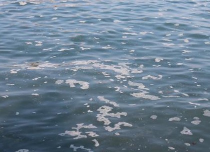 Чиновник сбил пешехода и утопил его в Азовском море