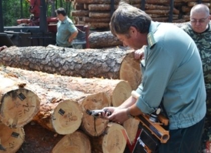 Каждому дереву по штрих-коду: лесничества Харьковщины внедряют инновацию