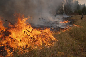 На ХТЗ горит сухая трава. Дым видно за километры