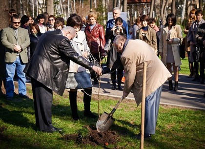 В Парке Горького высадили древнейшее дерево гинкго билоба