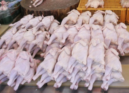 В курином мясе украинских производителей обнаружены сальмонелла и листерия