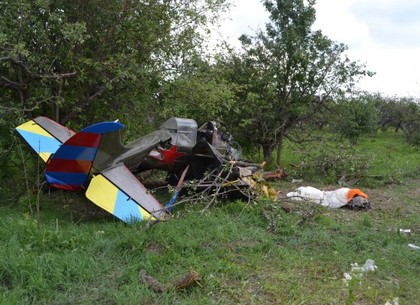 Крушение самолета под Киевом: прокуратура подозревает покушение (ФОТО)
