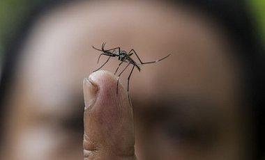 Таиланд стал опасен для туристов: в стране свирепствует лихорадка (МИД)