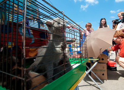 Незаконная торговля животными возле Центрального рынка