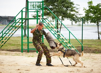 На Рогани открыли первую муниципальную площадку для дрессировки собак