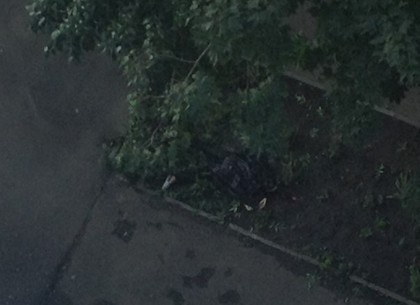 Женщина выпала из окна возле Конного рынка (ФОТО)