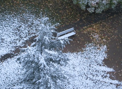 В Харькове выпал первый снег. На подходе бабье лето (ФОТО, ВИДЕО)