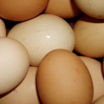 Что будет происходить с ценами на яйца и картофель в Харькове