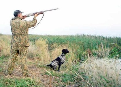 Пять охотничьих предприятий появятся в Харьковской области