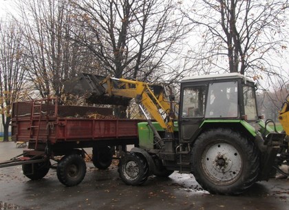 Как убирают листья в харьковских парках и скверах (ФОТО)