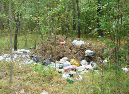 На Харьковщине грозятся оштрафовать всех, кто мусорит в лесу
