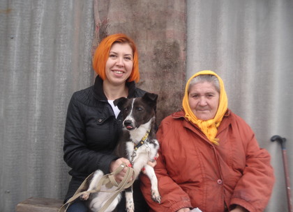 Собак из харьковского приюта начали вывозить в села (ФОТО)