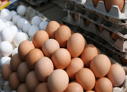 Антимонопольщики нашли причину подорожания яиц в Харькове