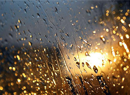 Погода в Харькове на понедельник, 2 декабря: ждем обещанных дождей