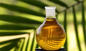 О вреде пальмового масла. Мнение харьковского ученого