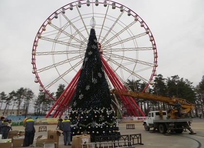 Как в парке Горького новогоднюю елку украшают (ФОТО)