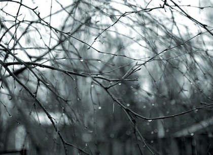 Зимы не будет: прогноз погоды на выходные в Харькове