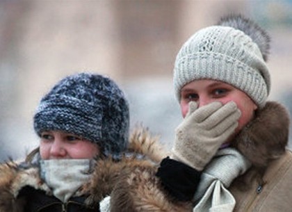 Деменко разрешила родителям не отпускать детей в школу в сильный мороз
