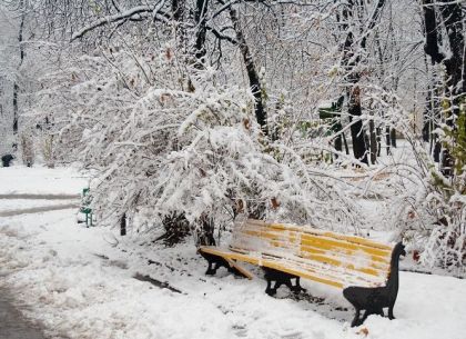 Прогноз погоды в Харькове на понедельник, 27 января