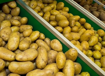 Цены на картошку взлетели до 8 гривен за килограмм. Названы причины