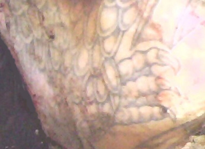 Труп мужчины с татуировкой дракона найден под Харьковом (Дополнено, ФОТО)