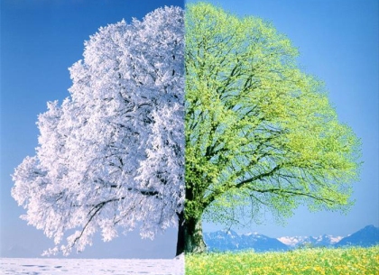 Сегодня, 15 февраля, Сретение: весна заставит зиму попотеть