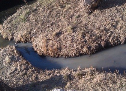 Река в Харькове стала мутно-белой и пахла нефтью. Экологи обратились в милицию (ФОТО)
