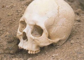 На Полтавском Шляхе в камышах нашли человеческий череп