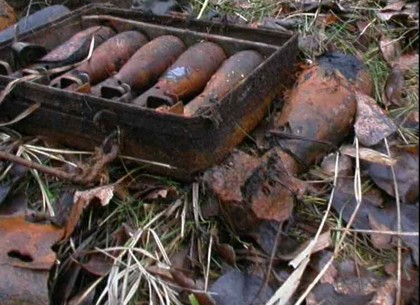 Под Харьковом нашли три десятка снарядов и мин
