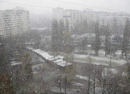 В Харькове – небывалый снег (ФОТО, ВИДЕО)