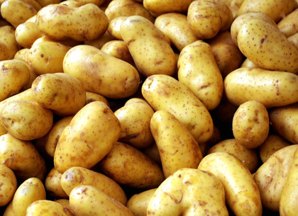 Торговые войны: Россия забраковала украинскую картошку