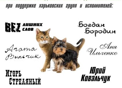 Харьковские рок-музыканты дадут благотворительный концерт в помощь приюту для животных