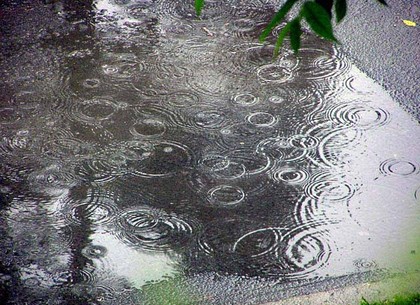 Июнь в Харькове побил рекорд по дождям