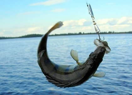Сегодня, 13 июля, День рыбака Украины