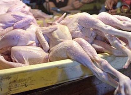 На харьковский рынок выпустили тонны курятины с сальмонеллезом