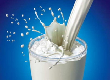 Две трети украинского молока не соответствуют стандартам ЕС