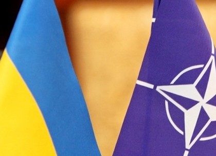 ЕС и НАТО отказали Украине в военной помощи
