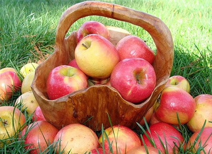 19 августа – Яблочный Спас, праздник пасечников и День гуманитарной помощи