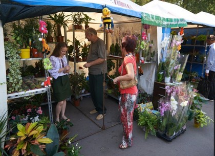 В саду Шевченко открылась выставка-продажа цветов ко Дню города (ФОТО)