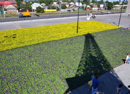 В Харькове из цветов высадили огромный флаг Украины (ФОТО)