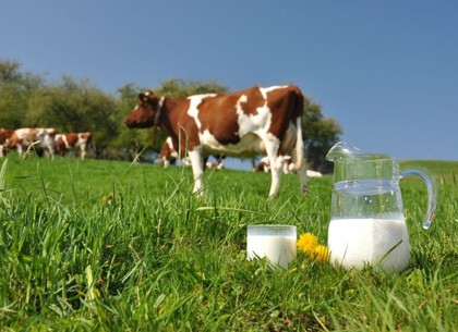 Эксперты ЕС проверят качество украинского молока