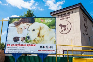 Харьковскому «Центру обращения с животными» нет аналогов в Украине