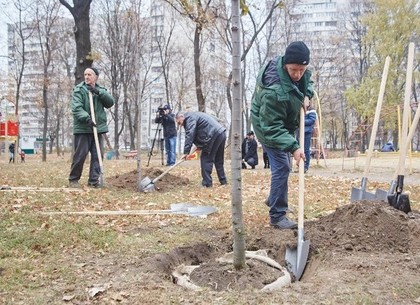 В Харькове высадили сотни ясеней, кленов и лип (ФОТО)