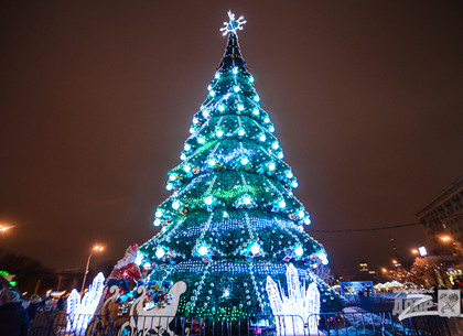 Новогоднюю елку начнут устанавливать на площади Свободы в конце ноября