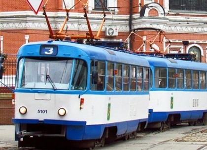 Аварийное дерево изменит  маршрут трамвая в Харькове